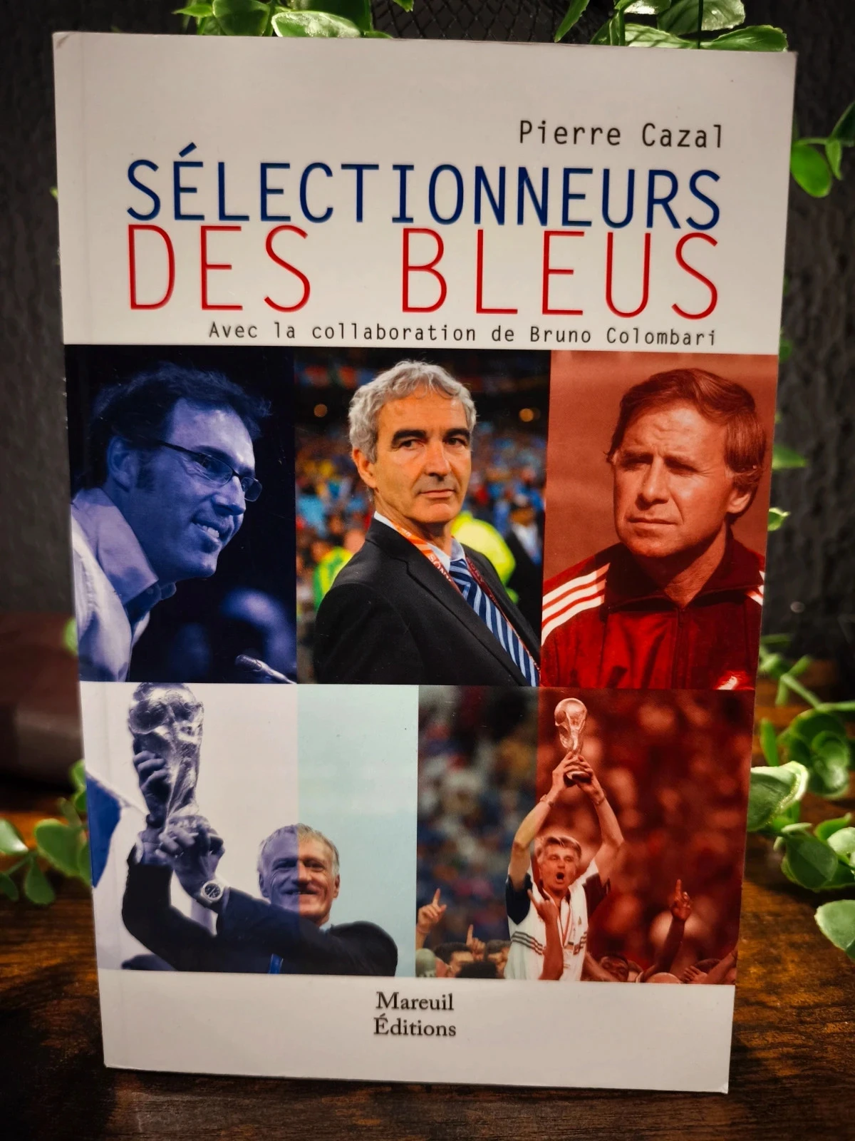 Sélectionneurs des bleus